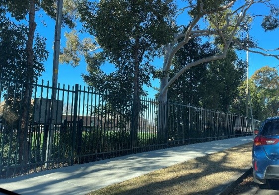 Photo of a footpath and trees bounded on one side a green metal fence