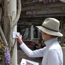 A person wearing a white shirt and a straw hat facing away from the camera placing a piece of white card onto a a twisted tree trunk