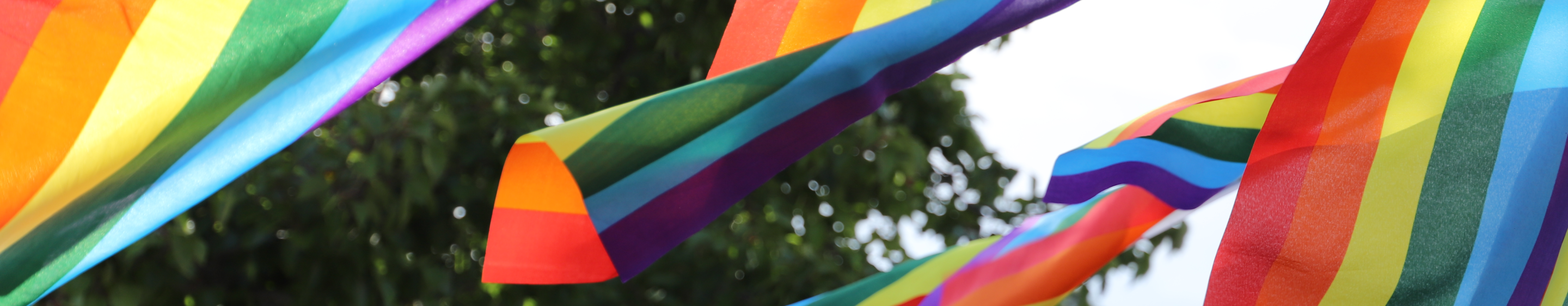 Banner image of multiple rainbow flag bunting