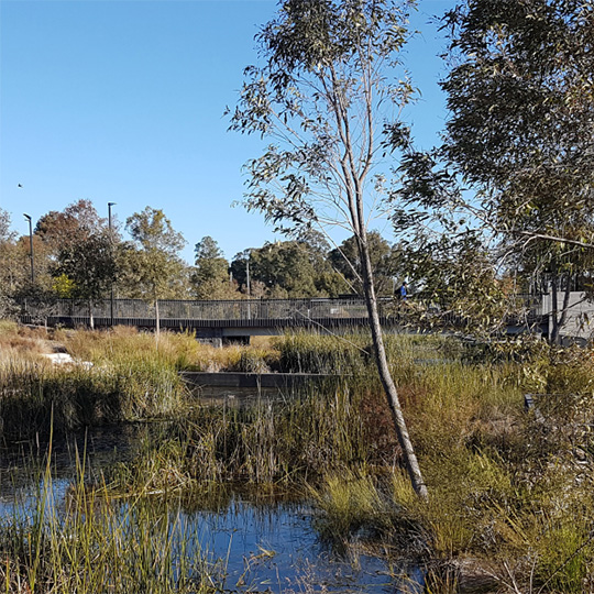A pedestrian bridge crosses a waterway surrounded in bush and grasses.