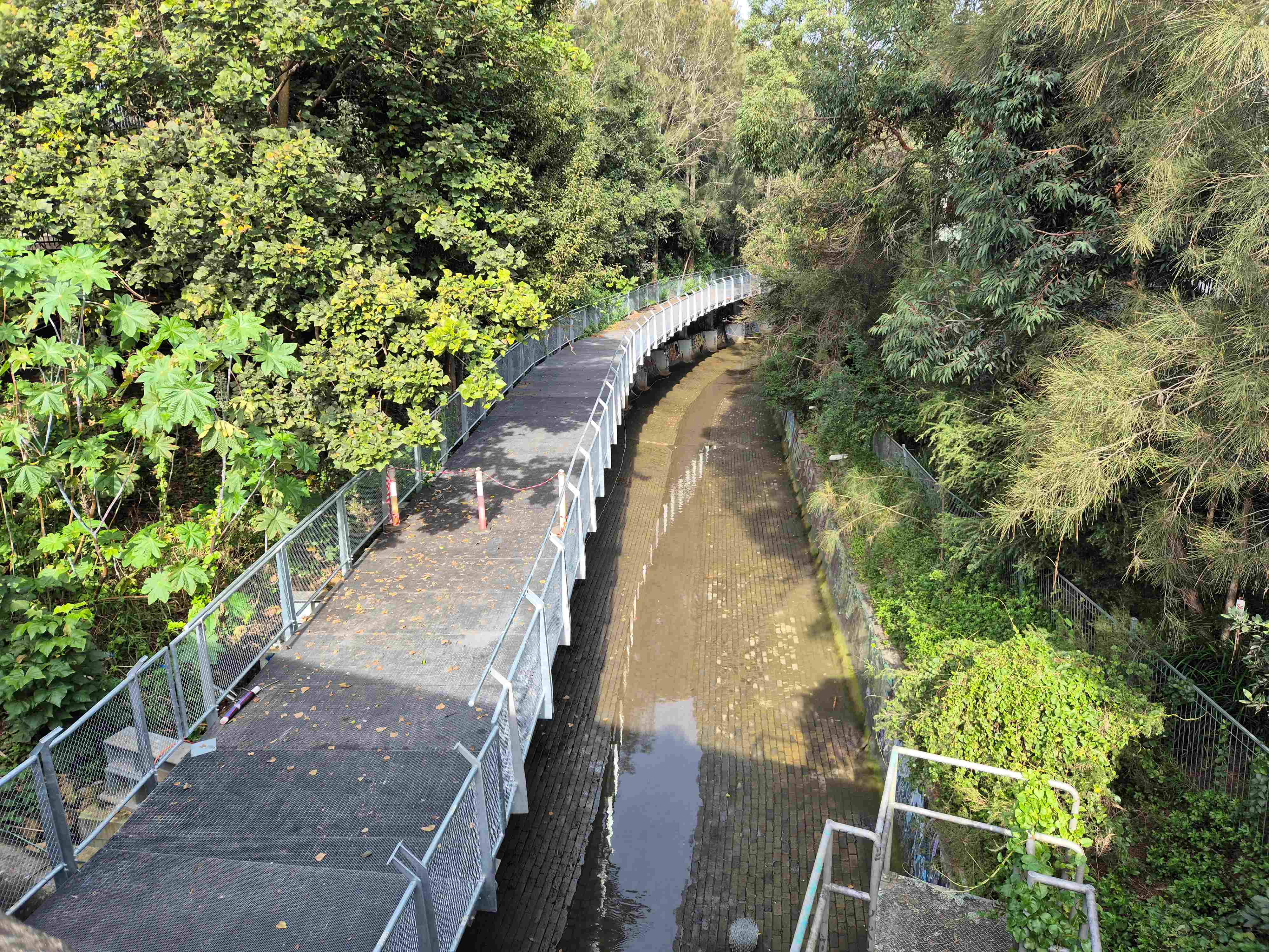 Cadigal boardwalk June 2025