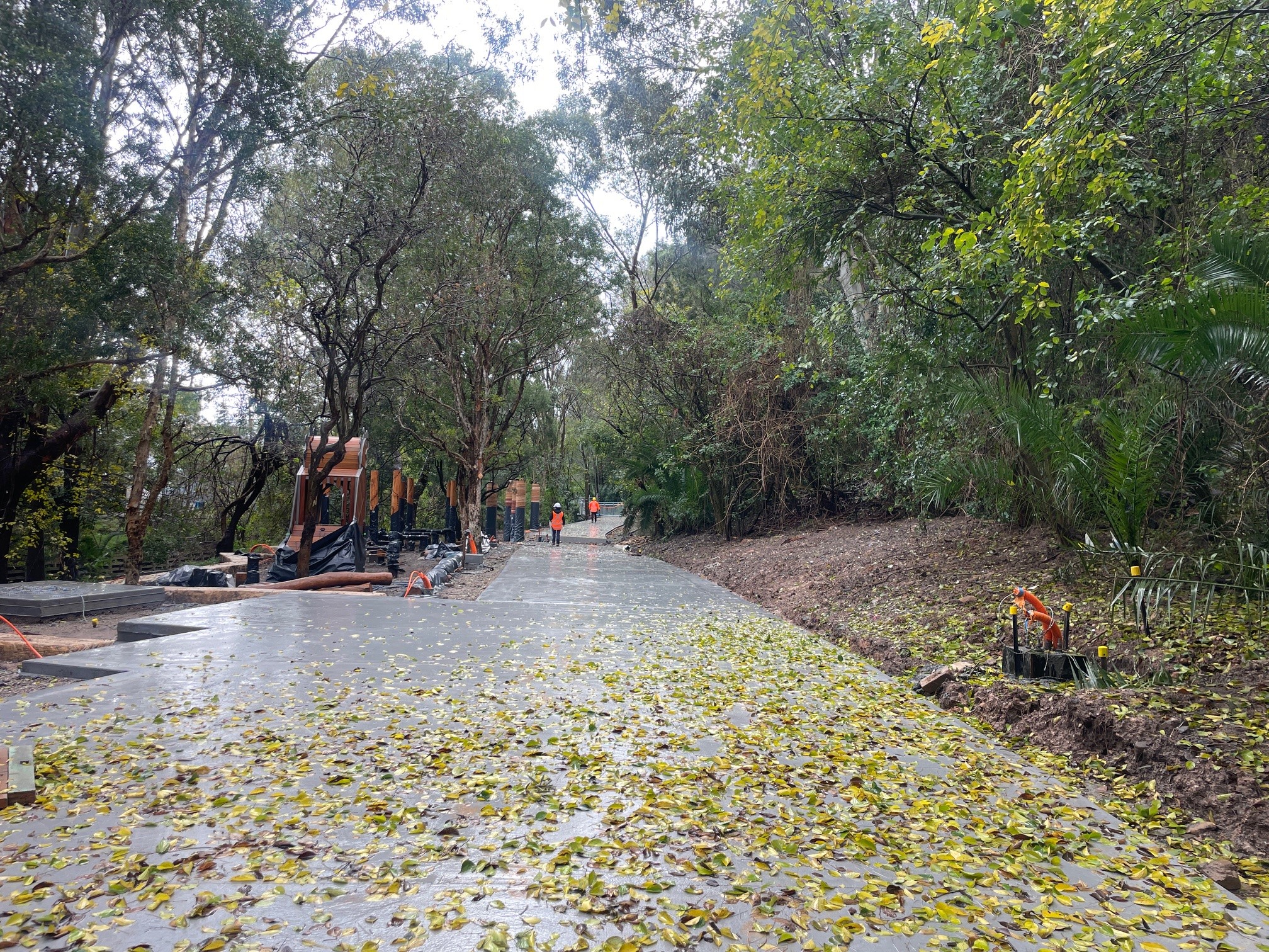 Cadigal concrete path 2 July 2025