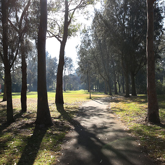  Whites Creek Valley Park - 540px