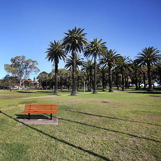 Ashfield Park palm trees and bench