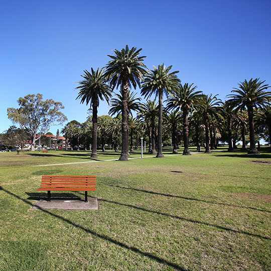  Ashfield Park palm trees and bench