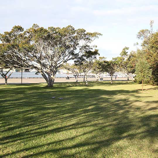  Mort Bay Park - 540