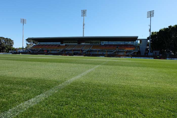 Leichhardt Oval Inner West Council