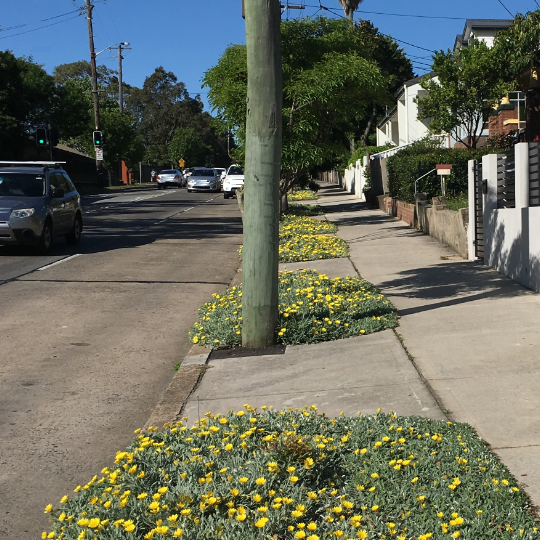 Streetscape of roads and footpaths