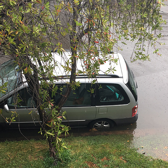 Hawthorne Canal - Flooding at Brighton Street