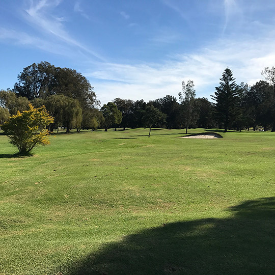 Marrickville golf course