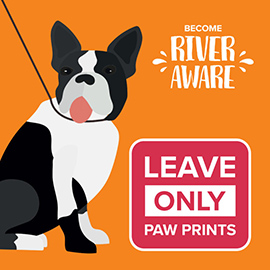 Leave paw prints only  - River aware campaign 