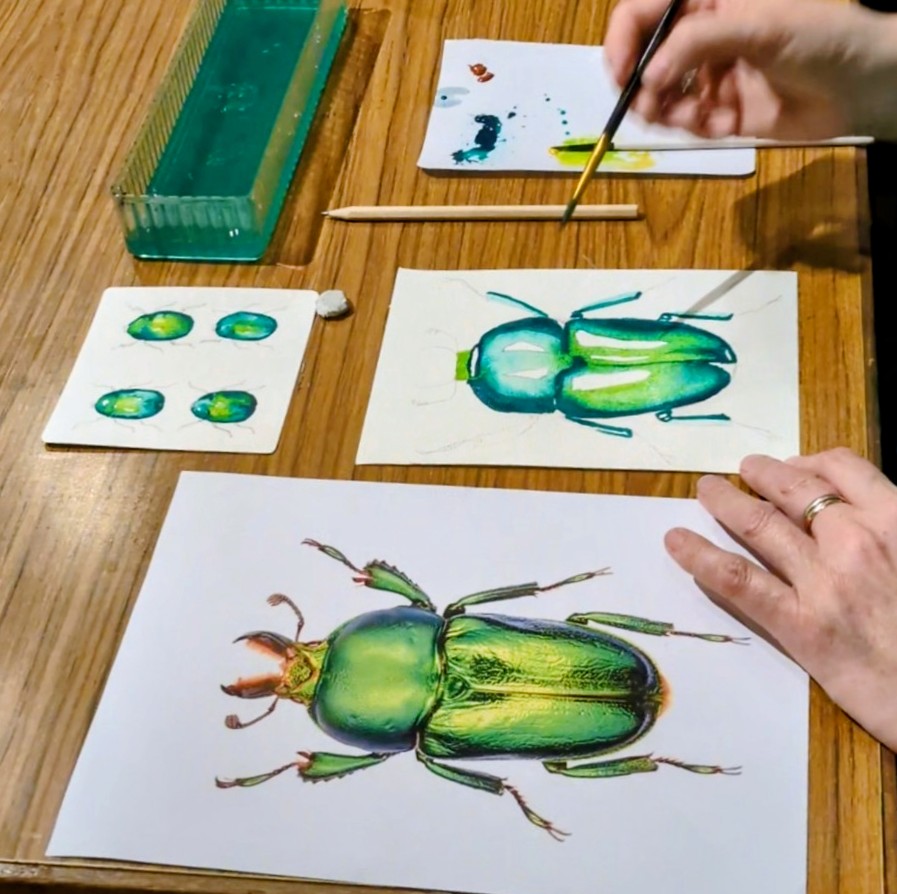 Expressive Watercolour Techniques and Mini Paintings