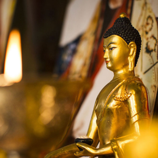 Rebirth, Karma and This Life
