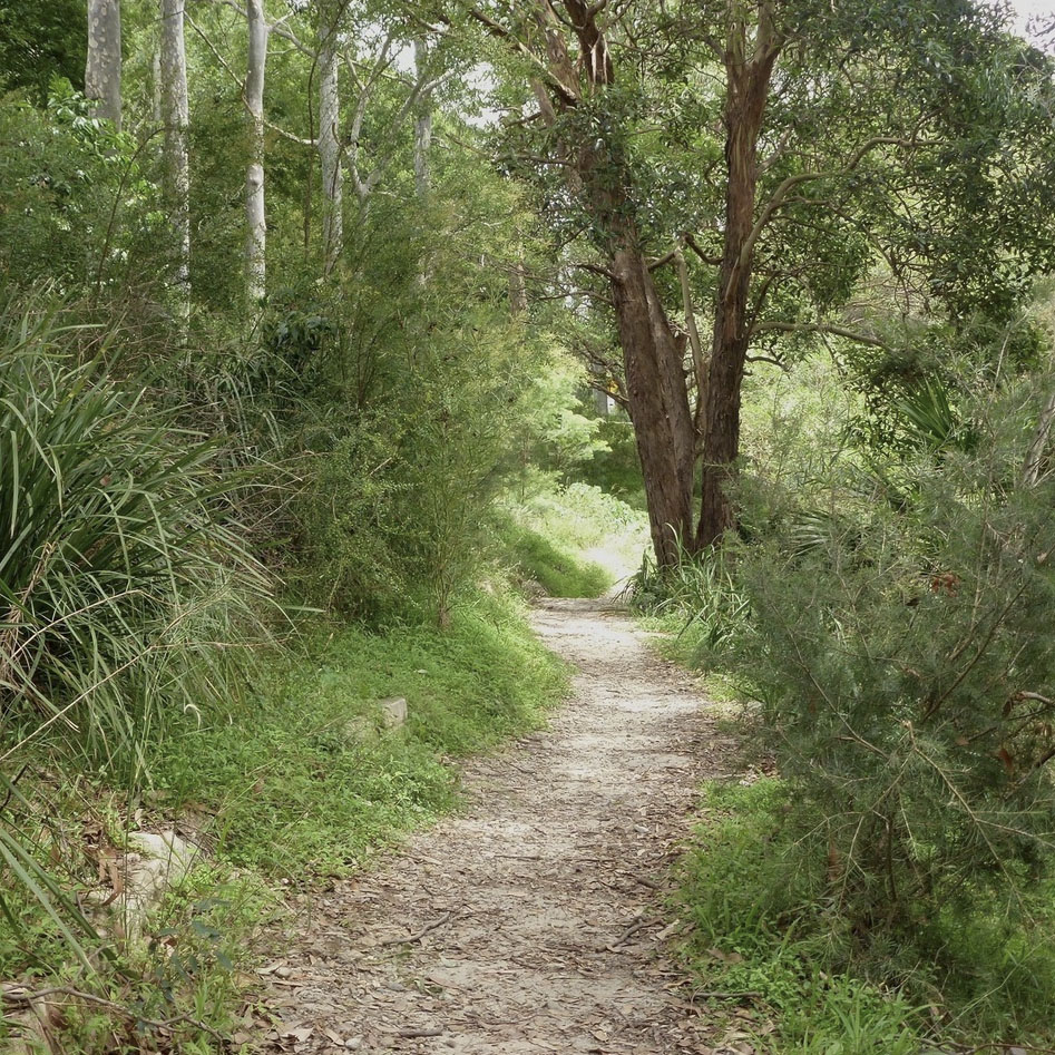 Callan Park Bushcare