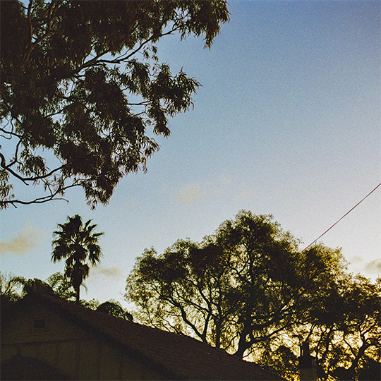 Exhibition: All That Surrounds