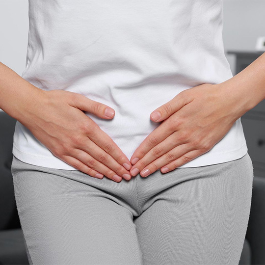 Understanding Your Pelvic Floor Workshop