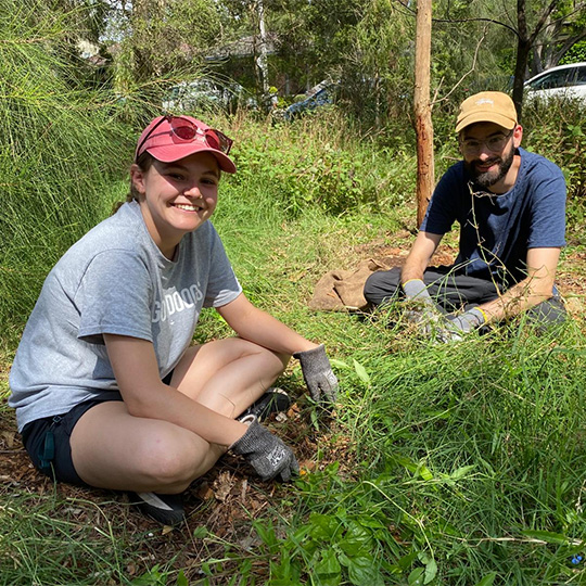 Marrickville Roving Bushcare