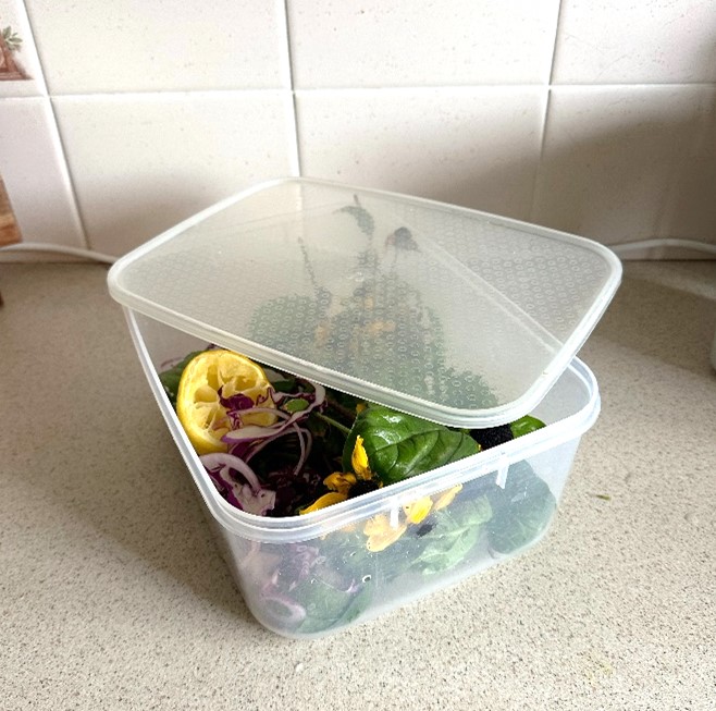 A home made FOGO container using a tupperware container