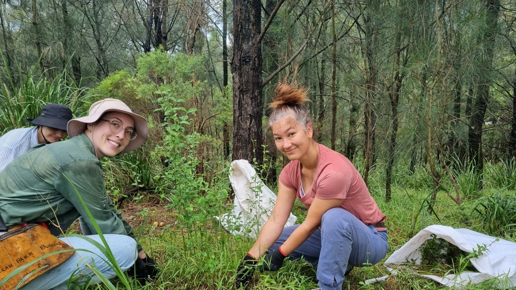 Tempe Bushcare Volunteers