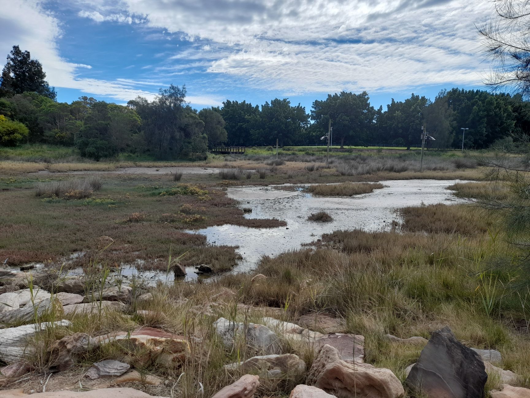 Landscape shot of saltmarsh, with some tidal inundation, at Tempe Reserve