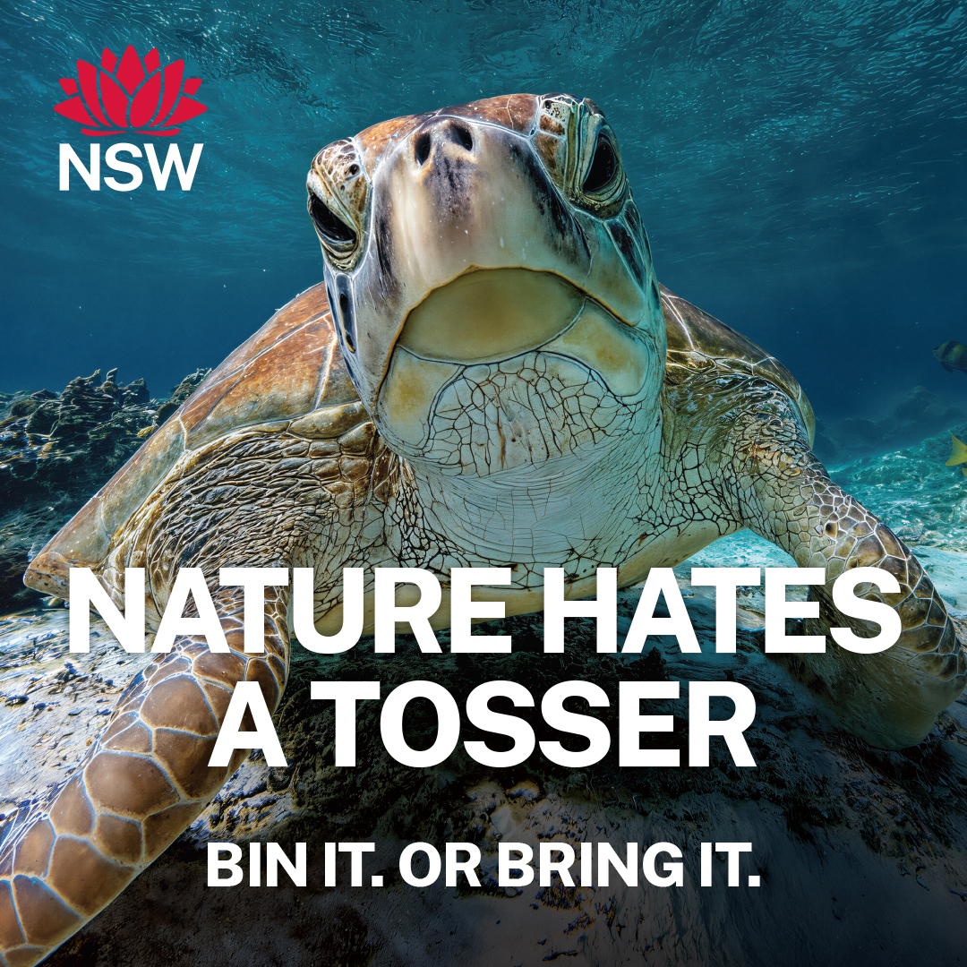 a poster image of a turtle with the NSW logo top right and the white text overlay NATURE HATES A TOSSER BIN IT. OR BRING IT.