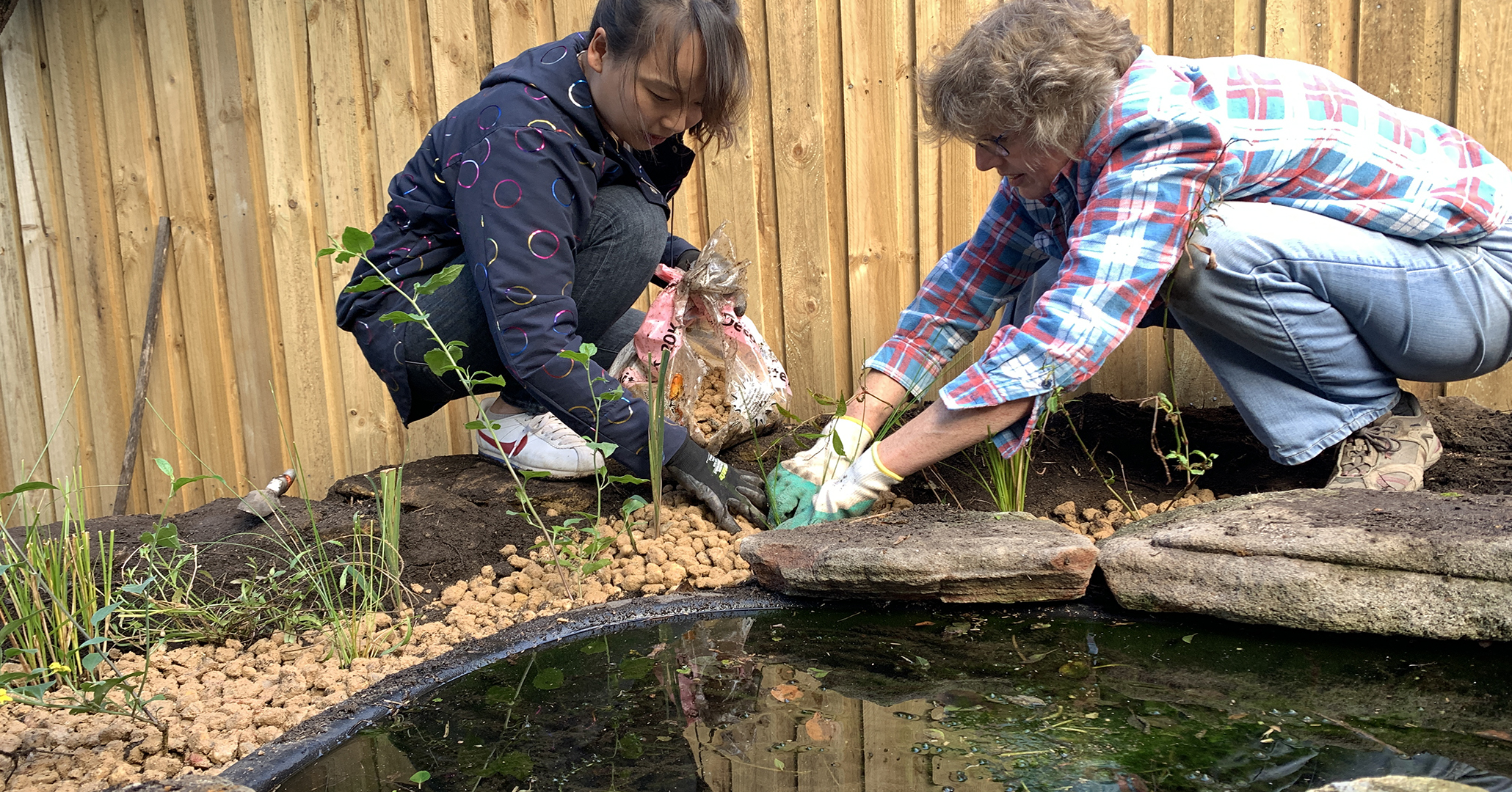 Two women planting new plants into a swale next to a small pond