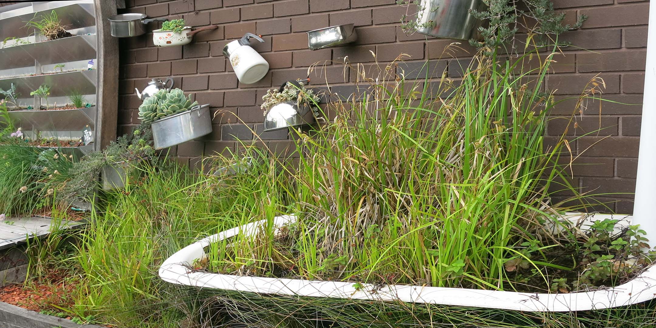 A repurposed bath being used to retain water and grow plants, behind it are a wall of kitchen pots and pans being used as plant boxes