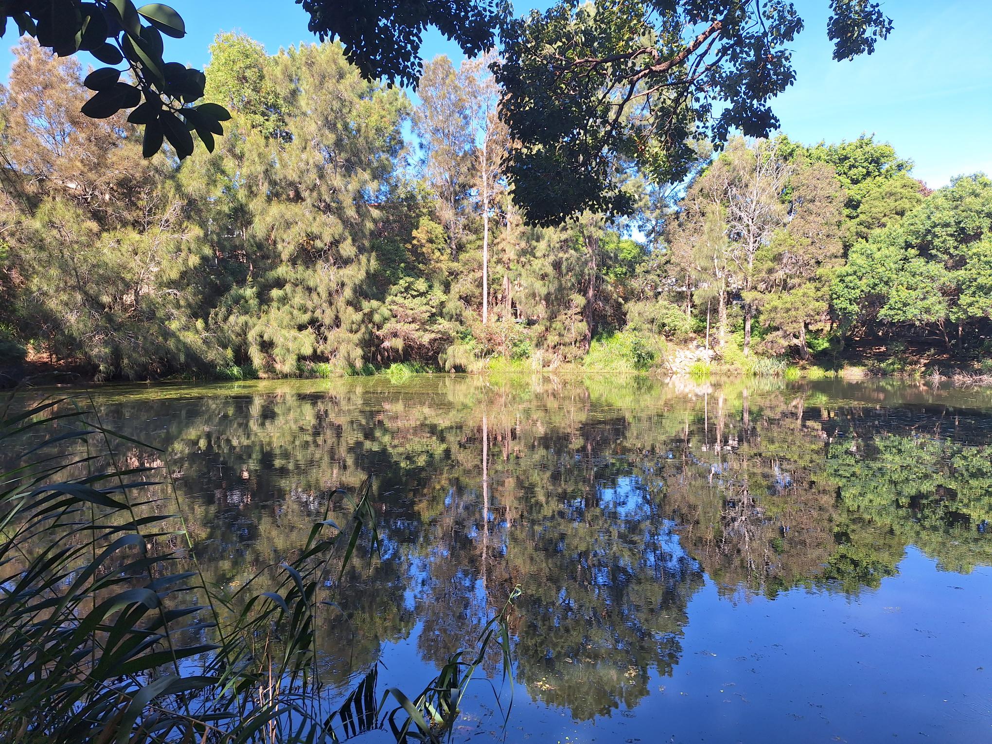 Dibble Waterhole