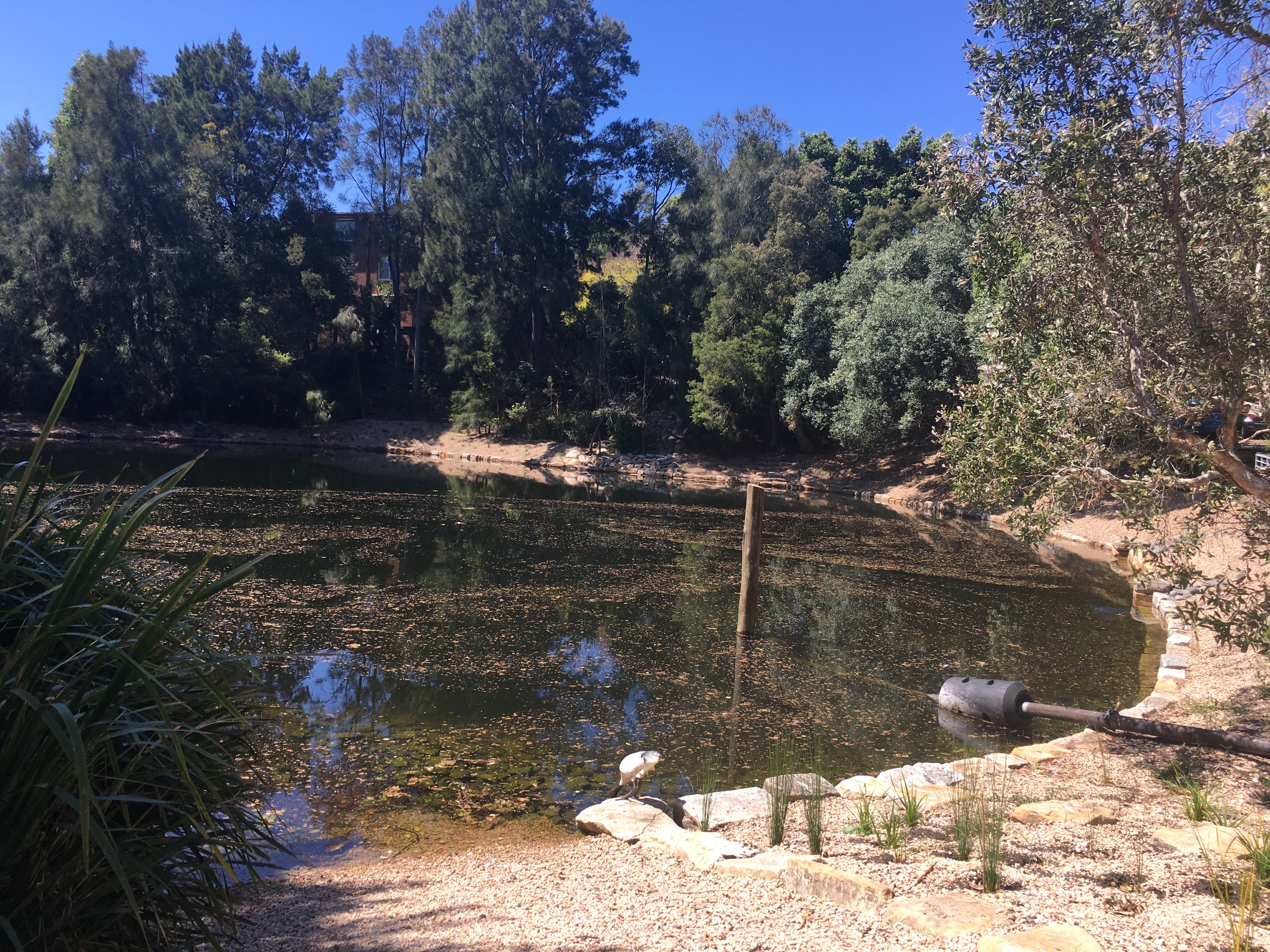 an image view to the waterhole